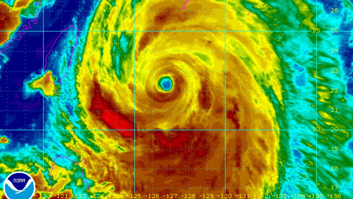 typhoon_neoguri_satellite.gif