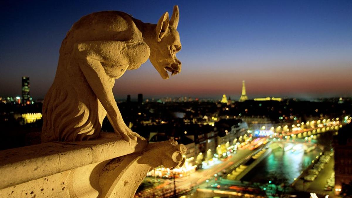 notre-dame-gargoyle-paris-france_65035_990x742.jpg