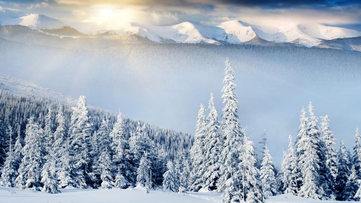 nature-landscapes_widewallpaper_winter-sun_13663.jpg