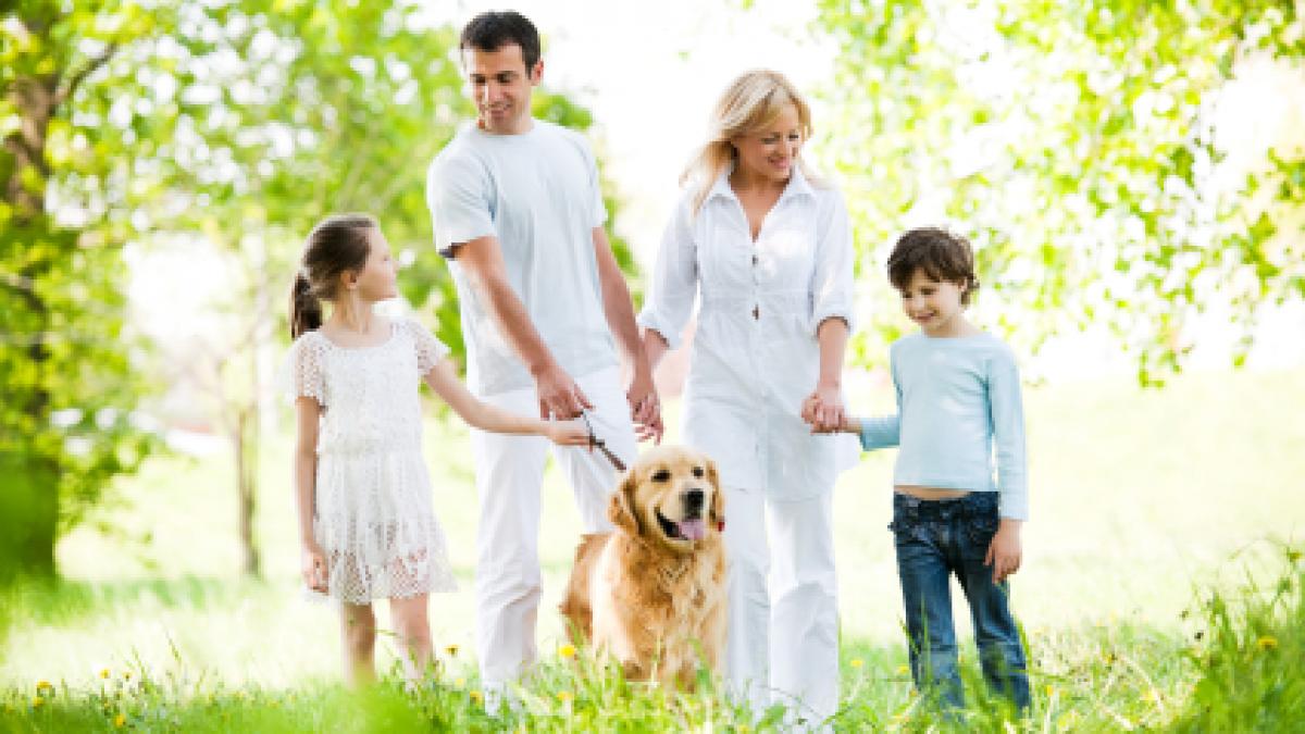 family-and-dog-in-park.jpg