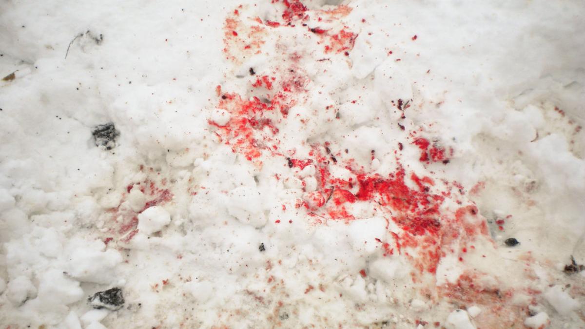 Blood_on_the_snow_VI_by_DiegoKid.jpg