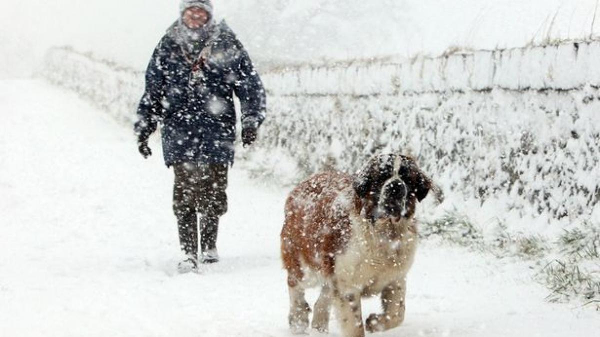 heavy snow in scotland.jpg