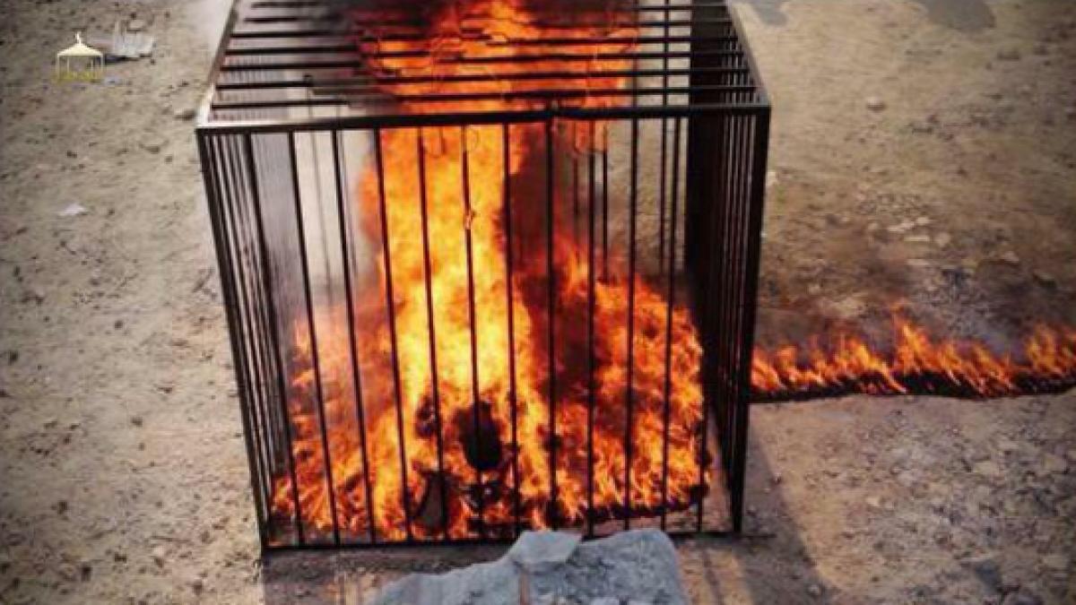 isis-burns-captured-jordanian-pilot-alive-11021.png