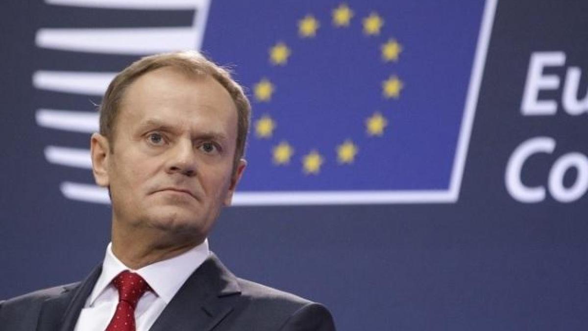 tusk.jpg