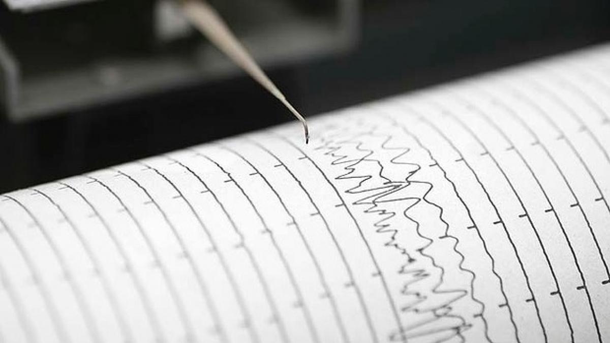 art-seismograph-620x349.jpg