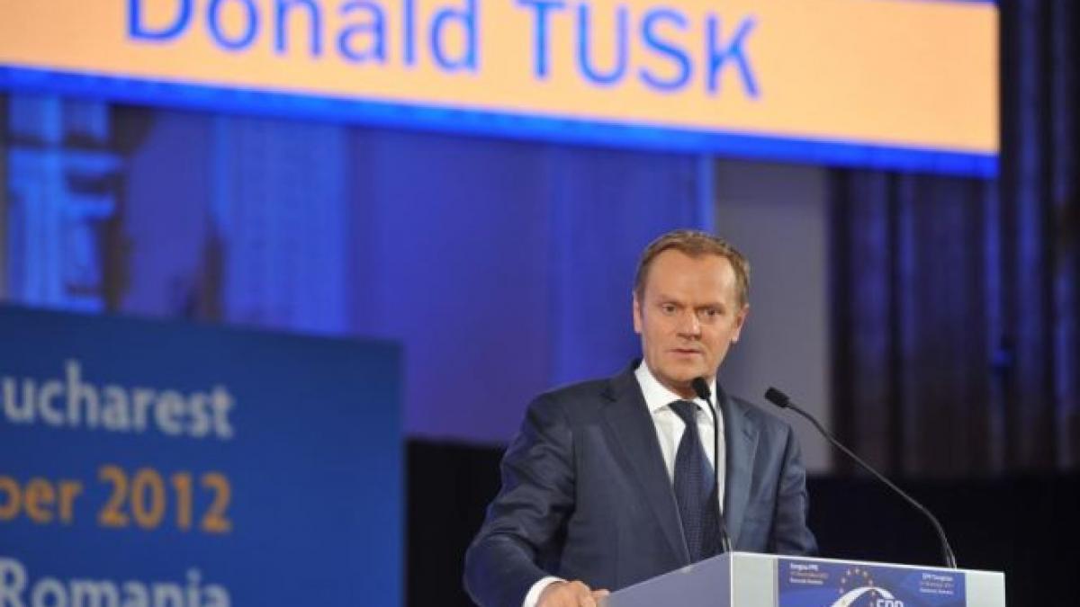 tusk.jpg