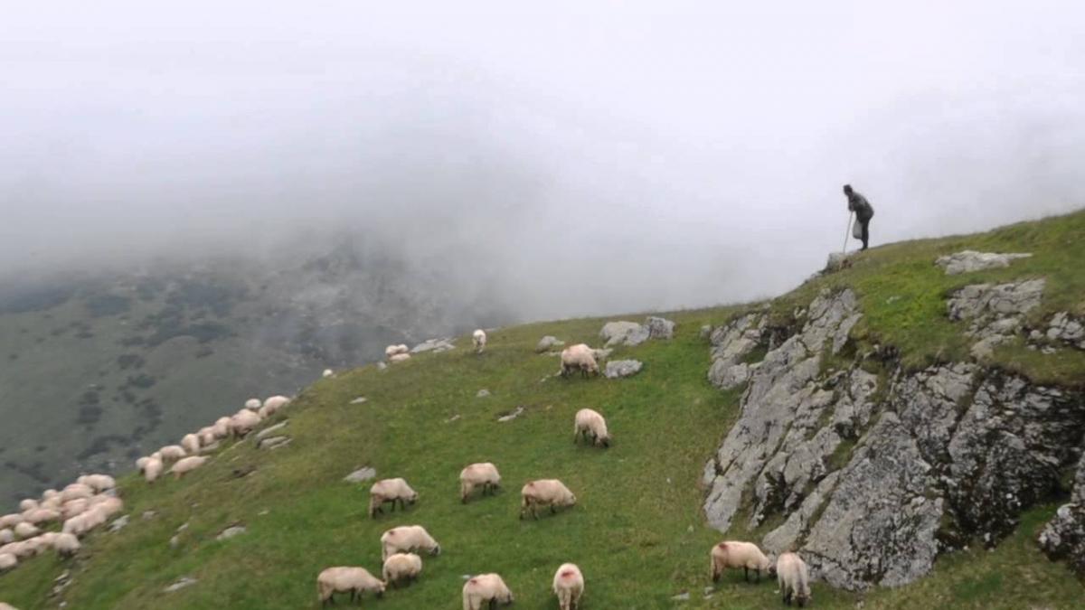 transalpina.jpg