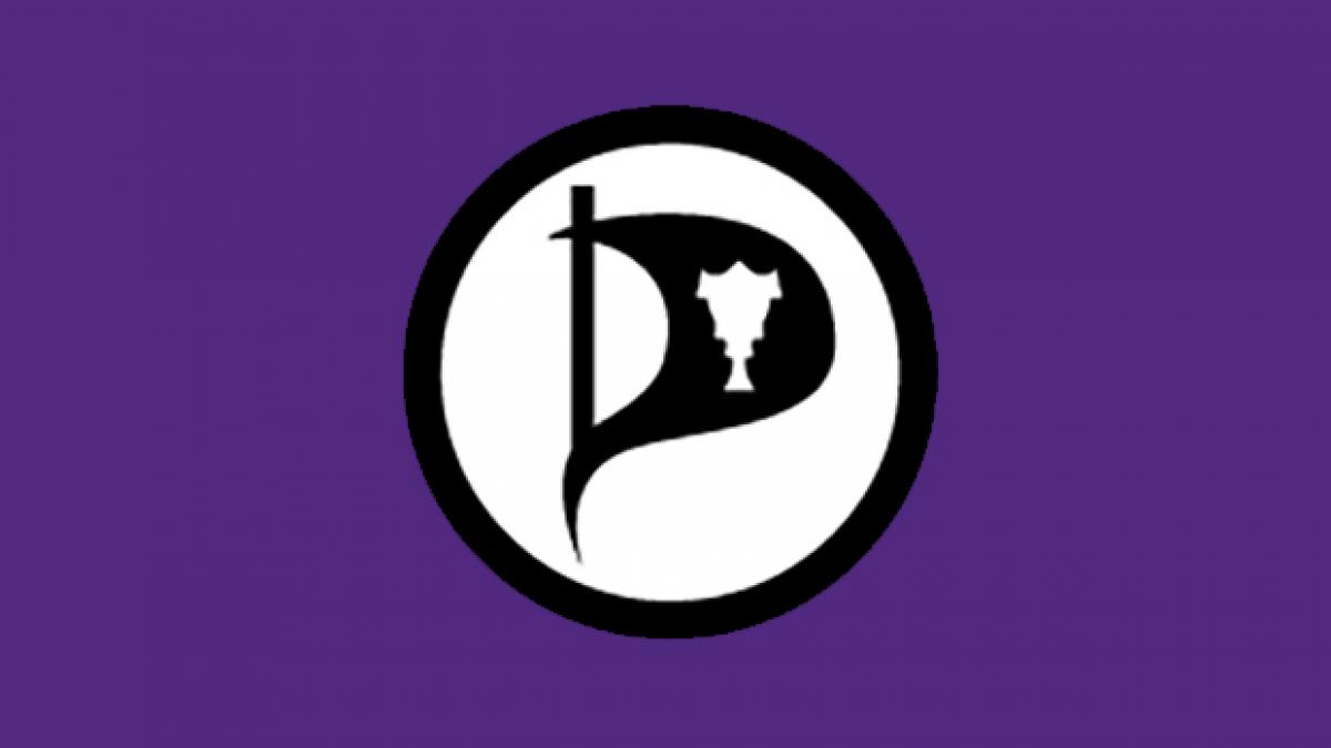 the pirate party.jpg