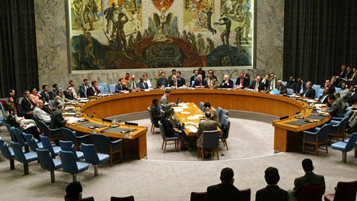 un council.jpg