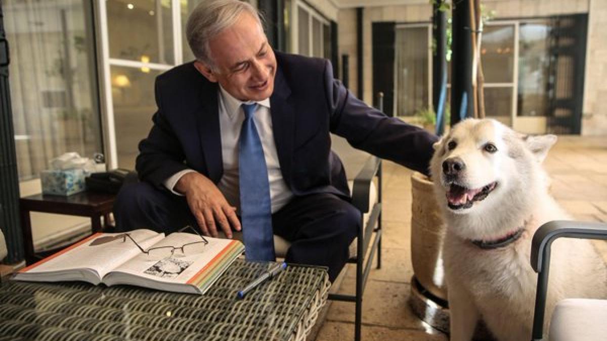 catel Netanyahu.jpg