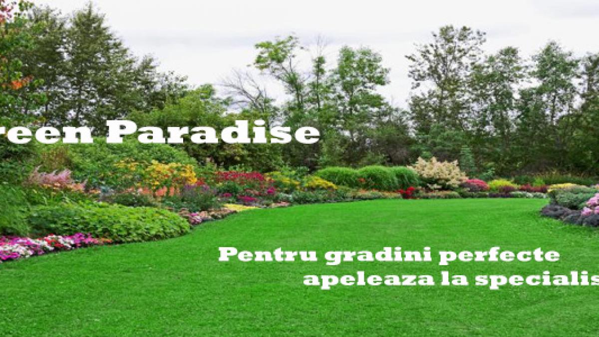 green paradise 1.jpg