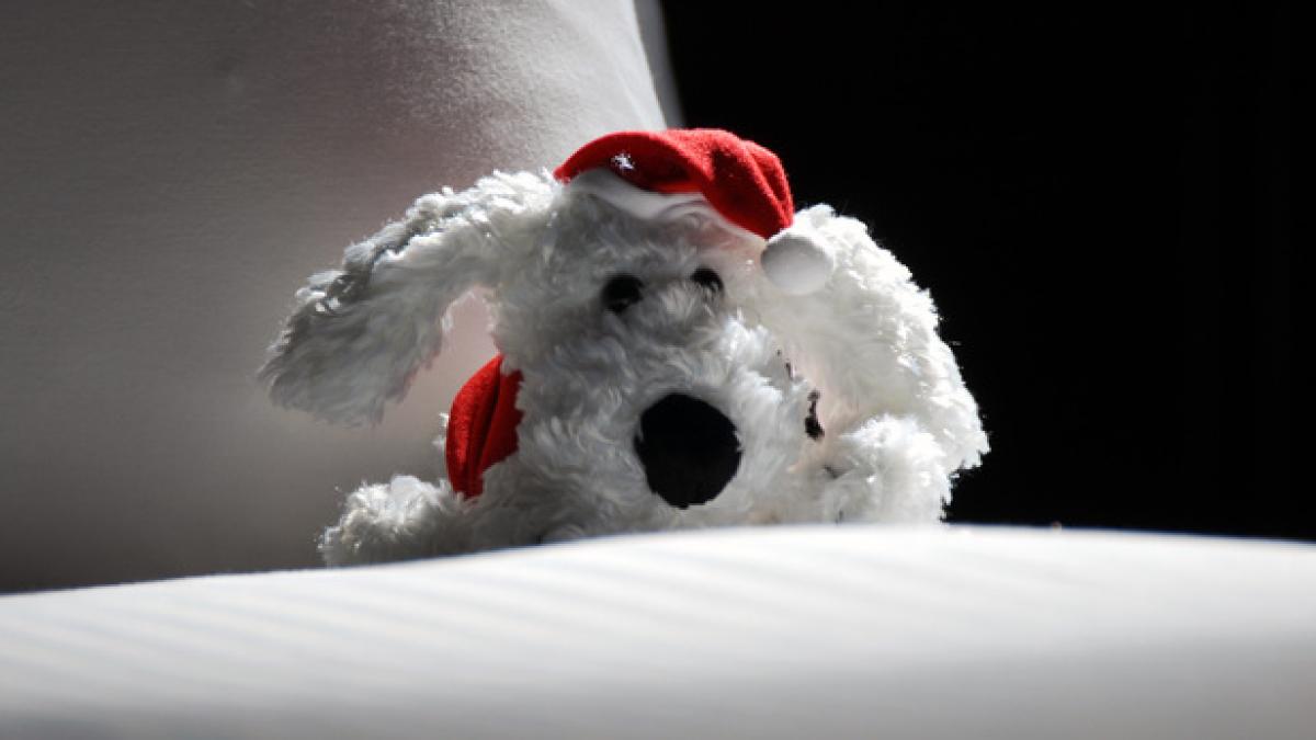 christmas-puppy-1-1382477.jpg