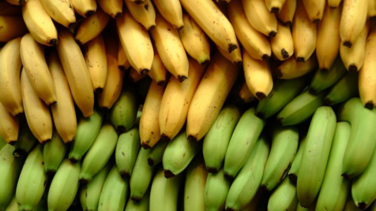 banane.jpg