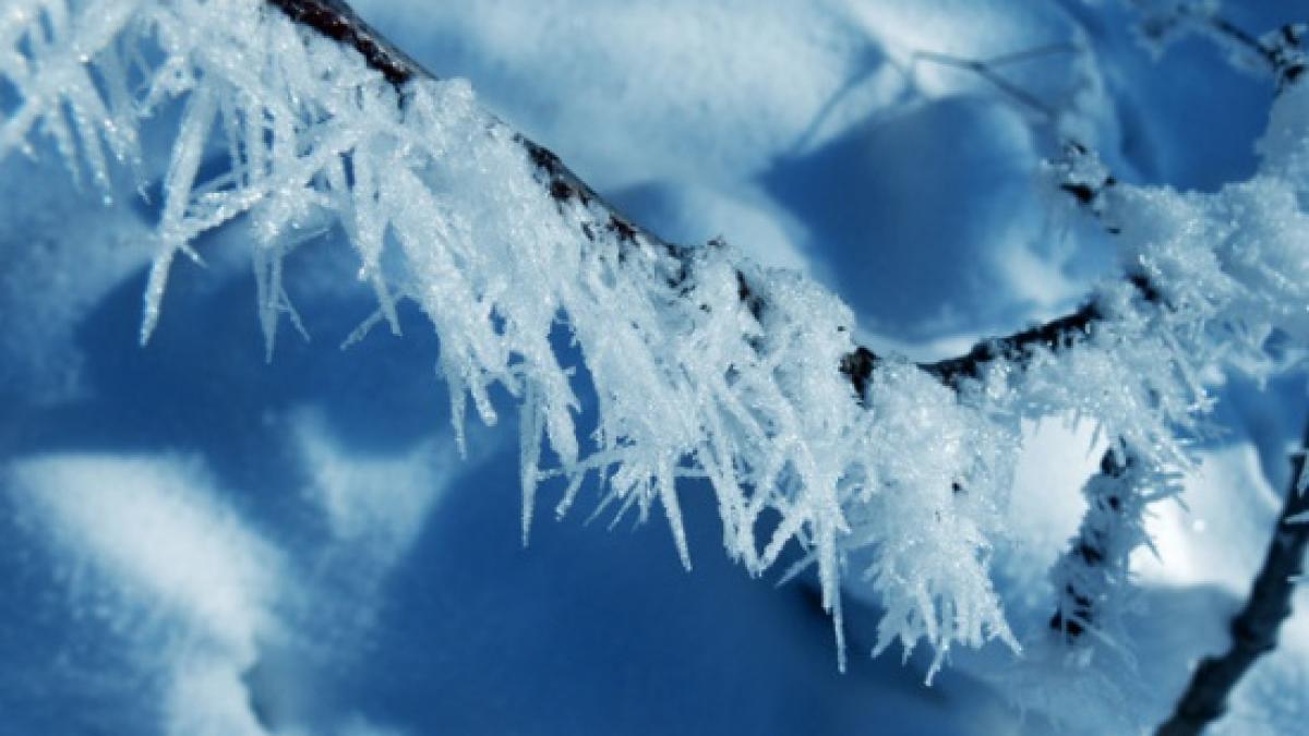 fenomene-meteo-anormale-dupa-un-inceput-de-decembrie-bland-a-venit-urgia-351983.jpg