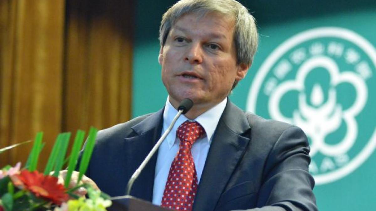 ciolos3.jpg