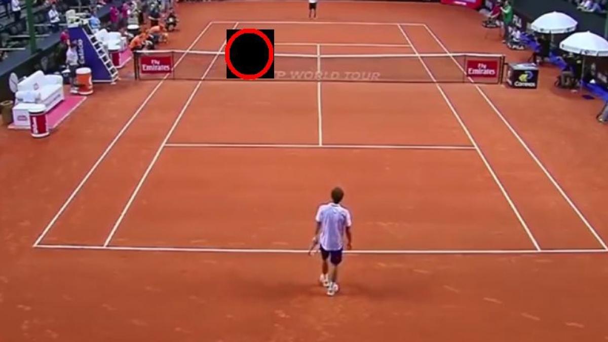 Apariție surpriză pe terenul de tenis, în timpul unui mare turneu. Spectatorilor nu le-a venit să creadă ochilor!