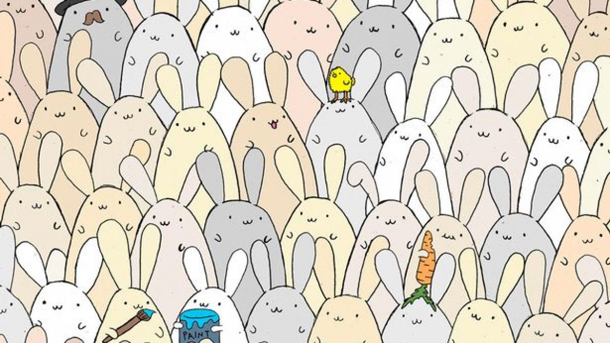 Can-you-find-the-EGG-amongst-the-bunnies.jpg