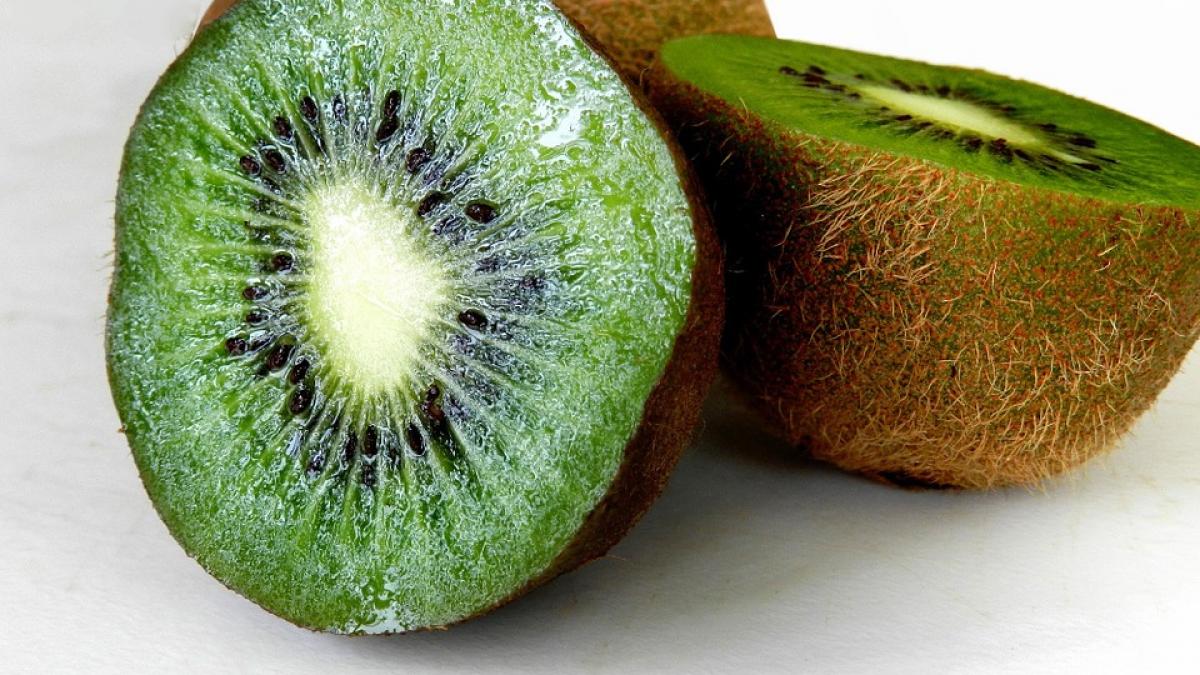 kiwi pixa.jpg