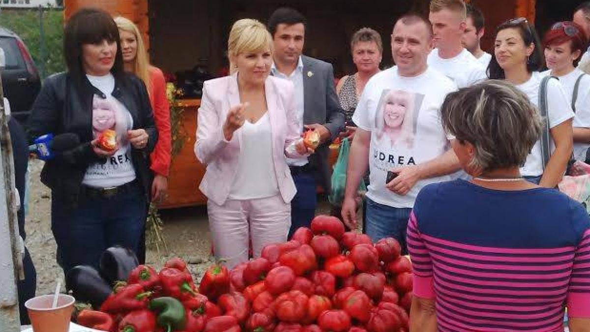 Udrea atacă Parlamentul: &quot;Nu mai face mare lucru&quot;