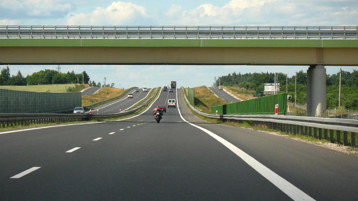 Accident teribil suprins de camera de filmat. Ce se întâmplă când un motociclist lovește un câine - VIDEO 