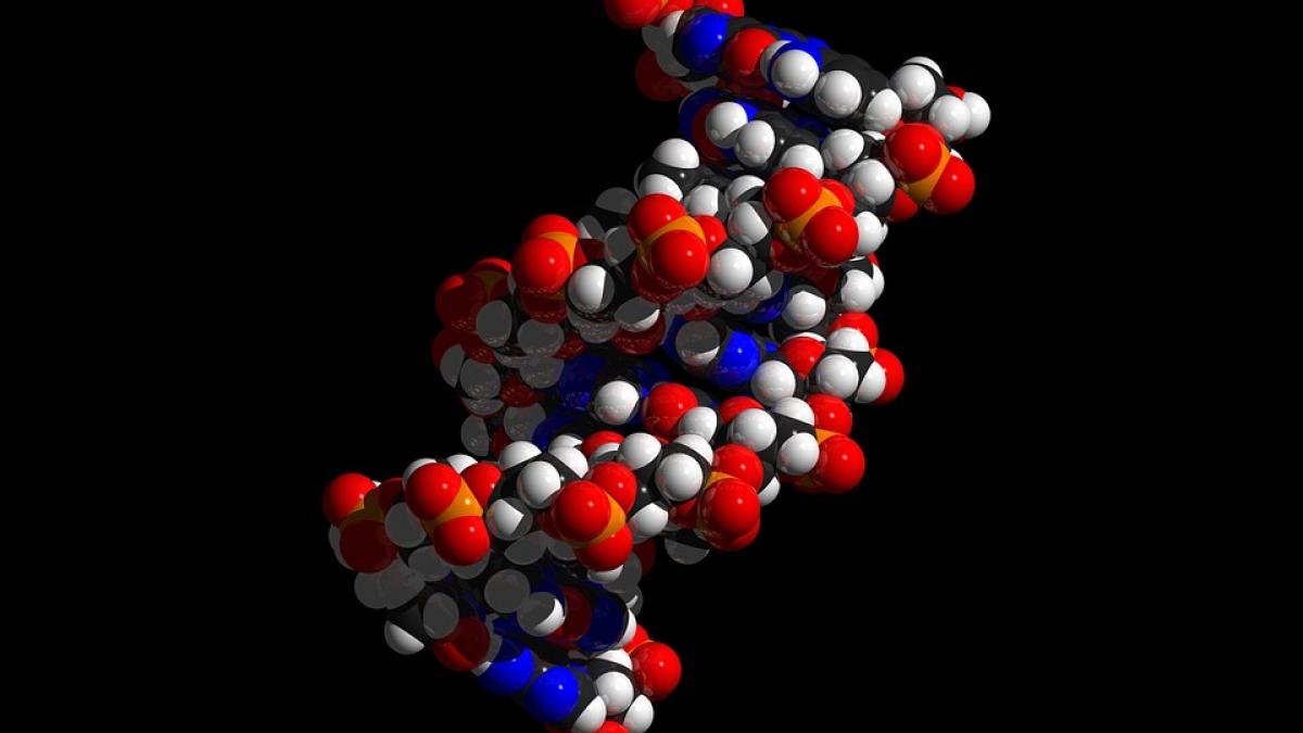 dna-694798_960_720.jpg