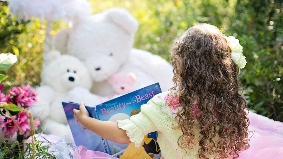 little-girl-reading-912380_960_720.jpg