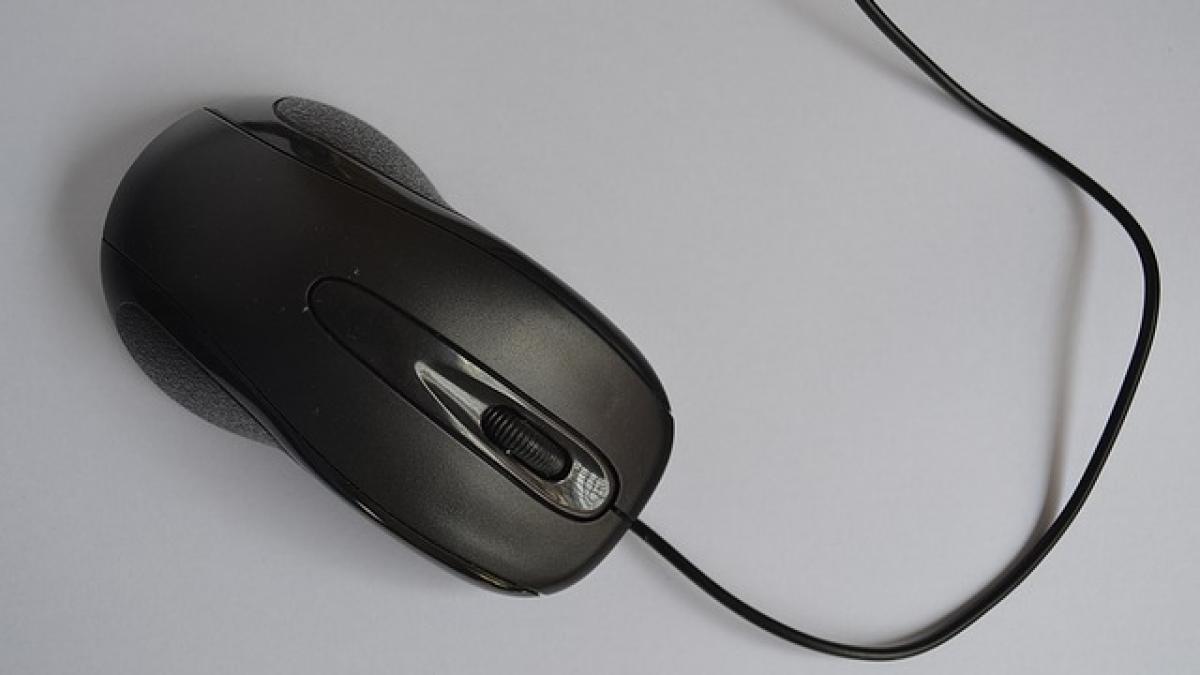 mouse-1324375_640.jpg