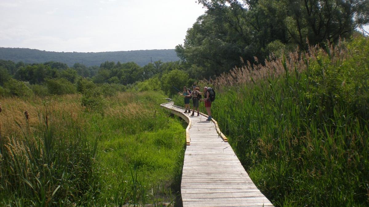 Appalachian Trail.jpg