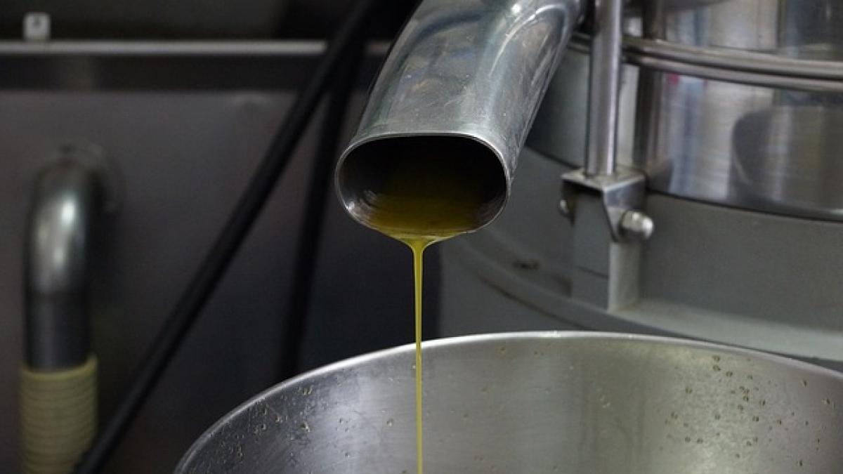 olive-oil-610366_640.jpg