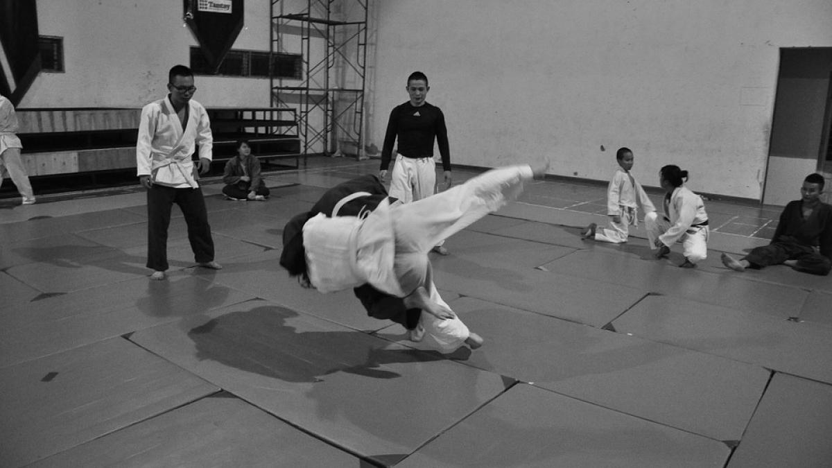 judo-333779_960_720.jpg