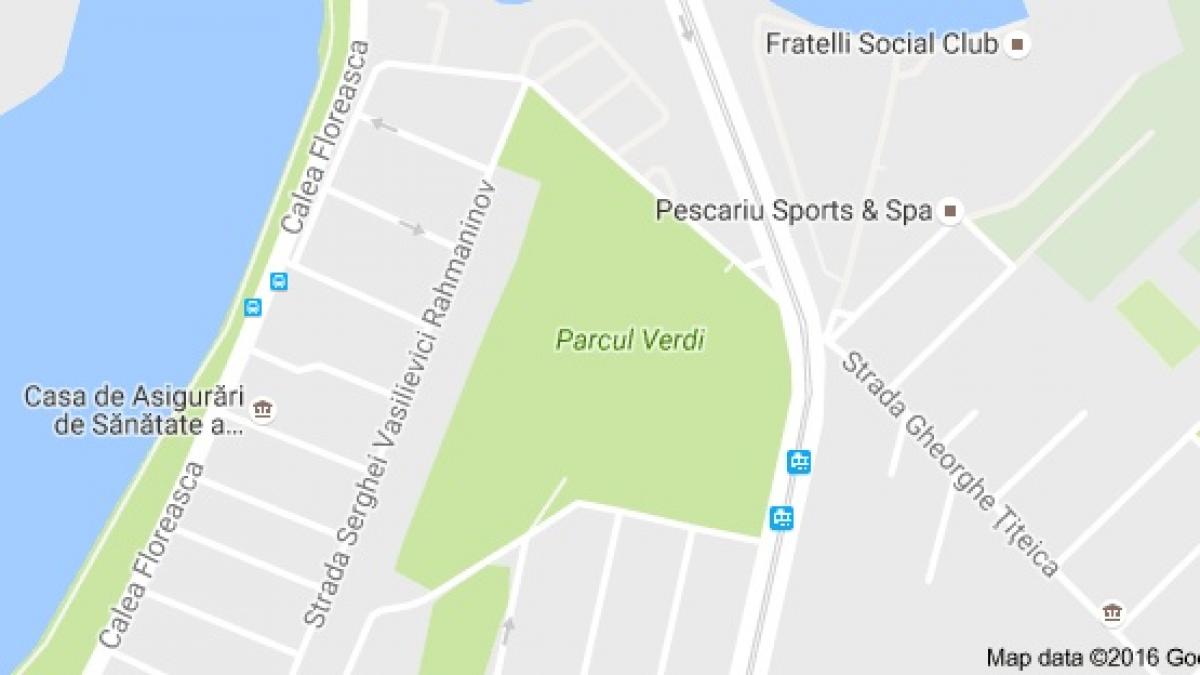 parcul verdi.png