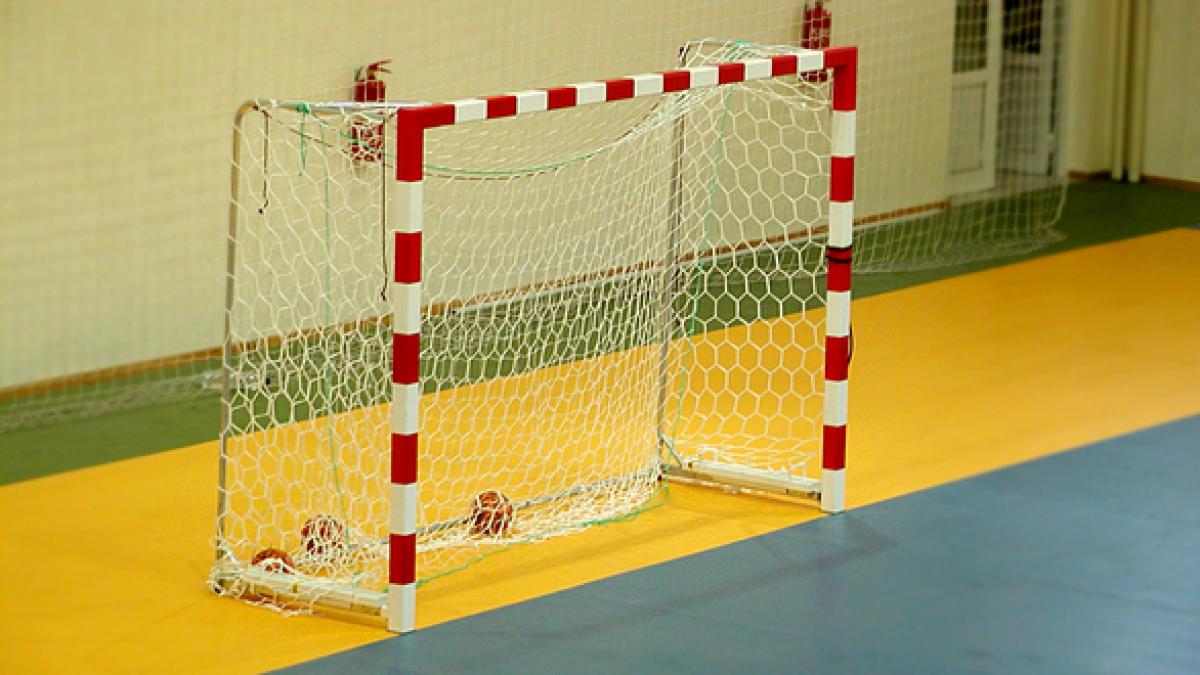 handball-1480822.jpg