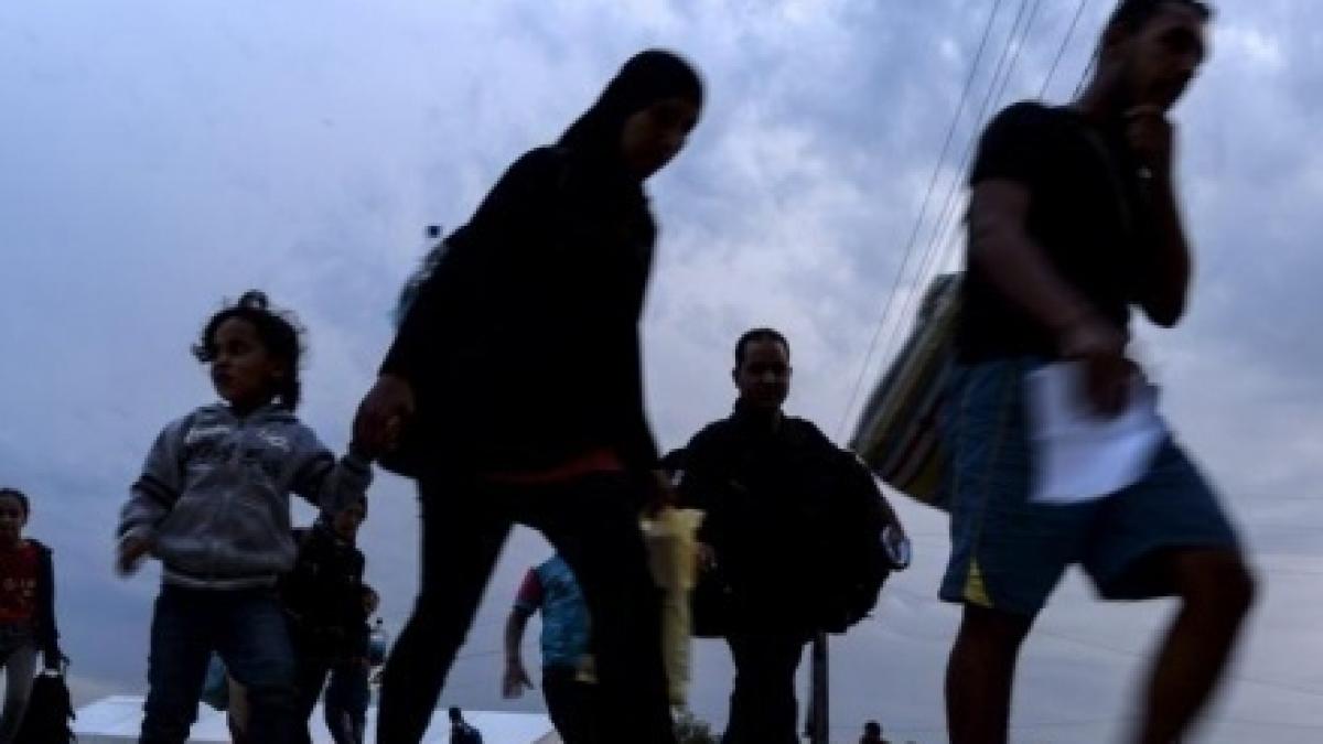 20 de migranţi, capturaţi la Arad în timp ce voiau să treacă graniţa