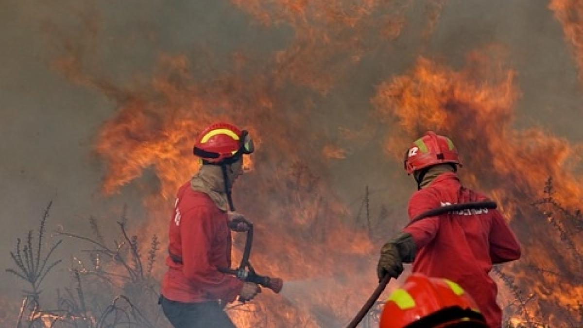 Vedete de la noi, captive în infernul din Thassos 