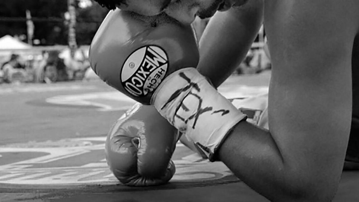 boxer-1430490_1280.jpg