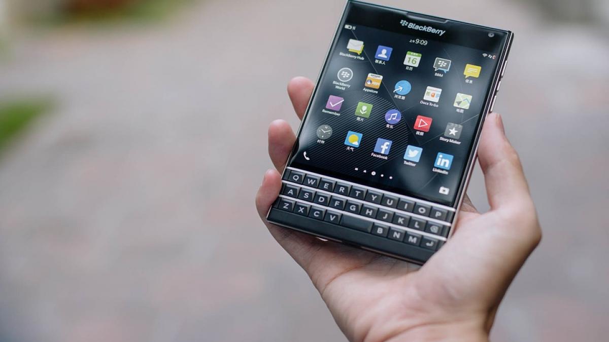 blackberries-1377071_960_720.jpg