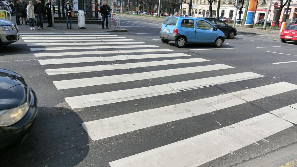 zebra-crossing-377532_960_720.jpg