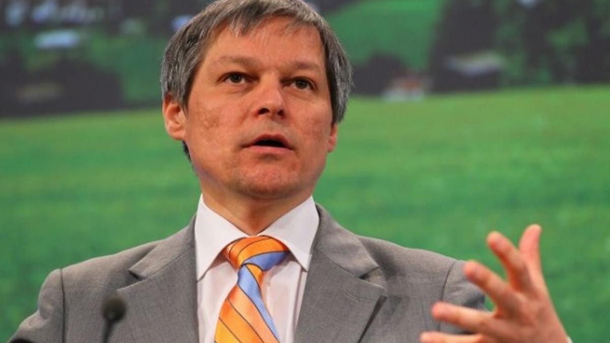 ciolos intact2.jpg