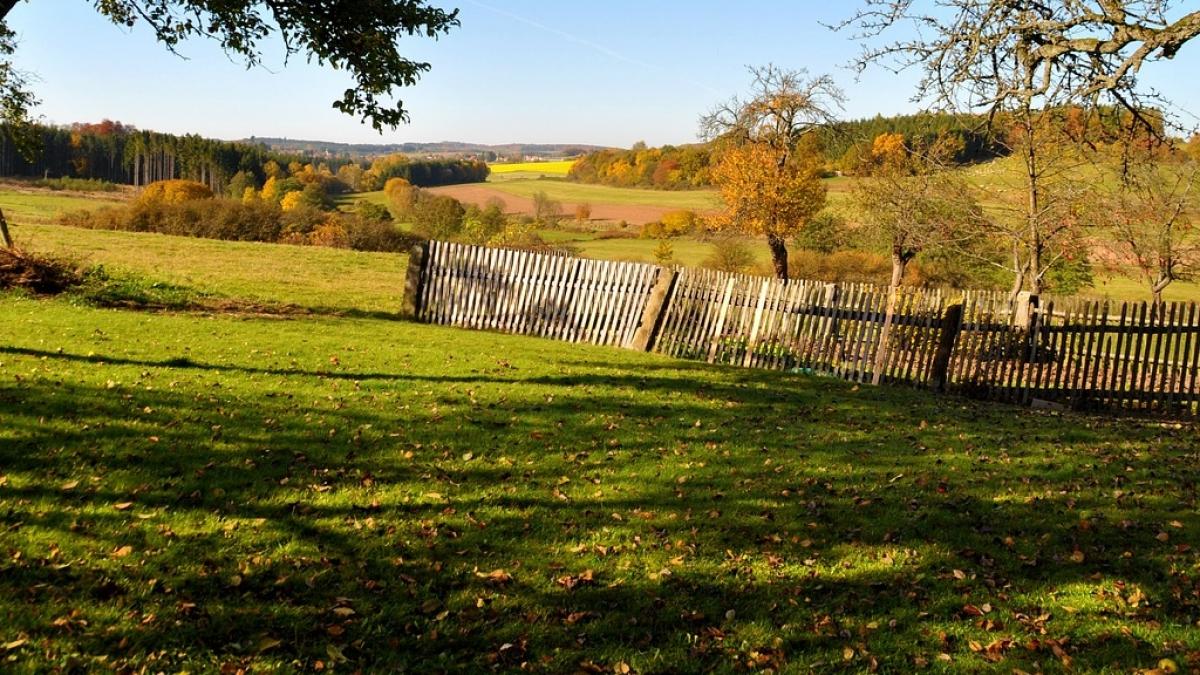 Descoperire unică pe un câmp din România. Ce au găsit arheologii prahoveni în comuna Ariceştii Rahtivani