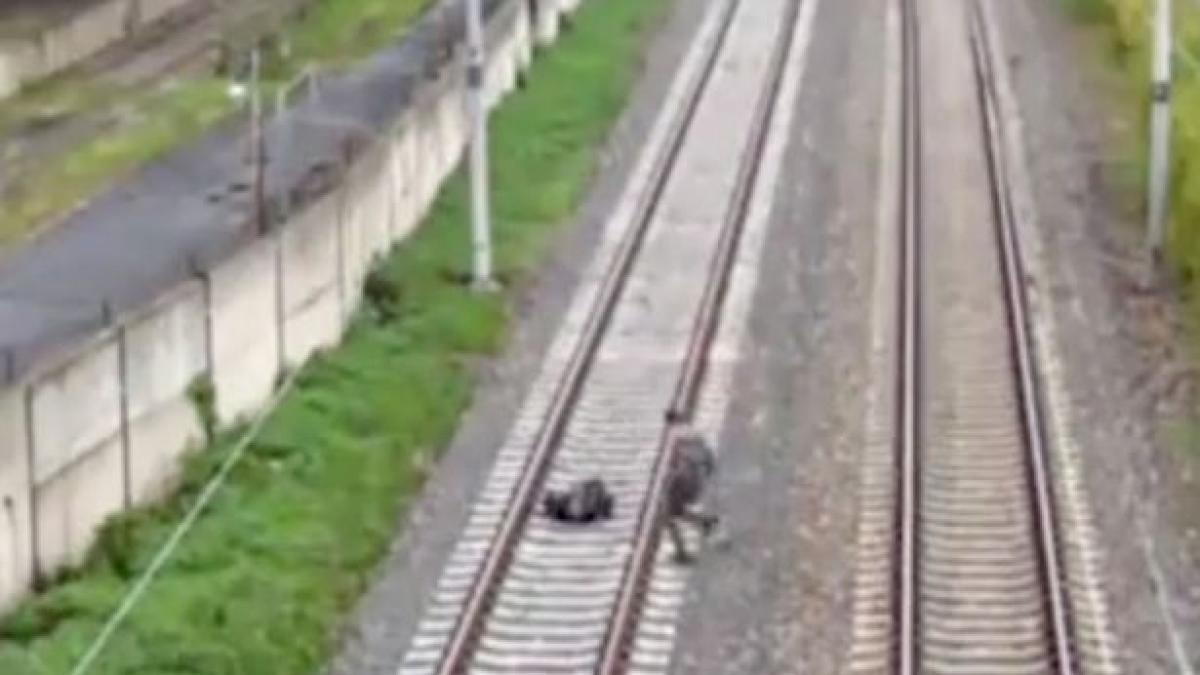 Two-boys-lie-down-on-tracks-in-front-of-fast-moving-train.jpg