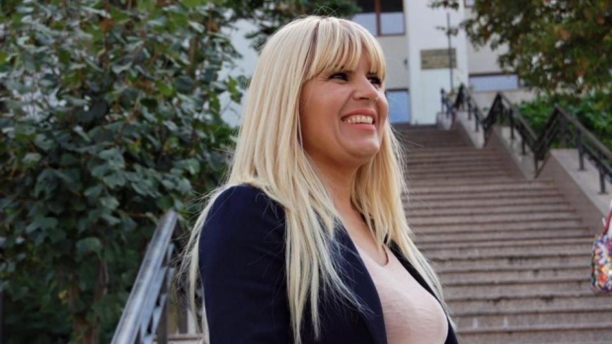 elena udrea facebook.jpg