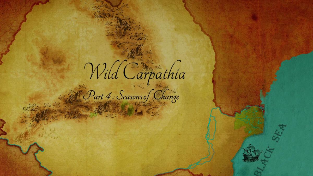 STILL WILD CARPATHIA.jpg