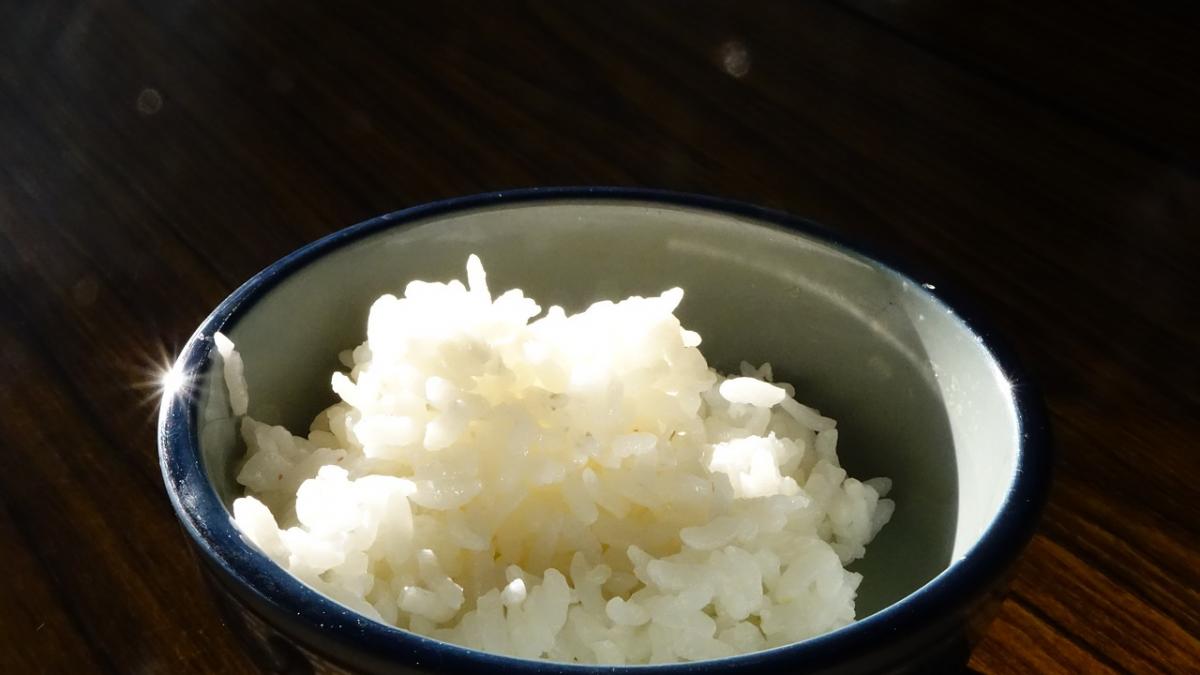 plain-cooked-rice-1583098_1280.jpg