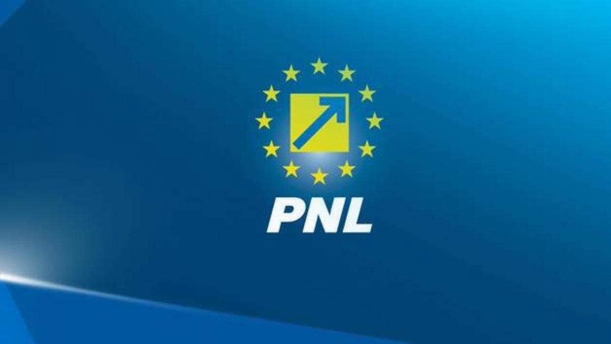 Noi demisii răsunătoare în PNL. Mai mulți grei ai liberalilor spun adio partidului 