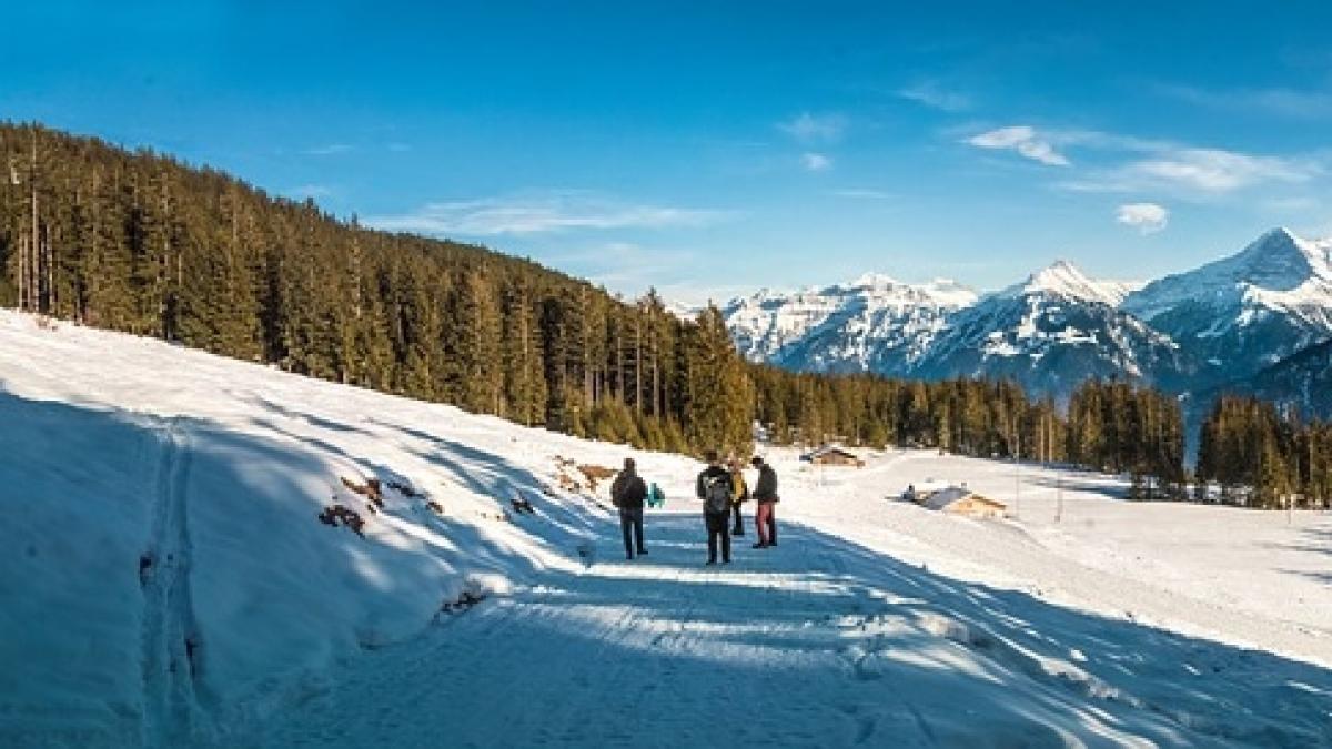 Alpiniștii dispăruţi în Munţii Retezat, în urmă cu aproape două zile, au fost găsiţi în viaţă