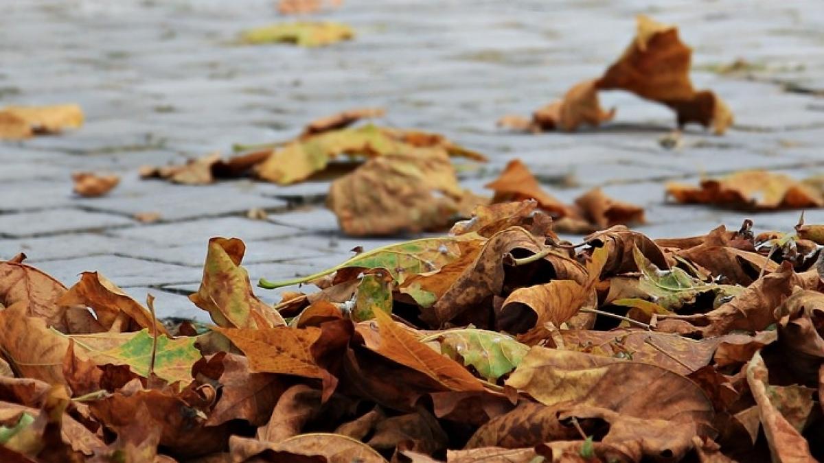 Prognoza meteo pentru următoarele zile. Ce se întâmplă cu vremea