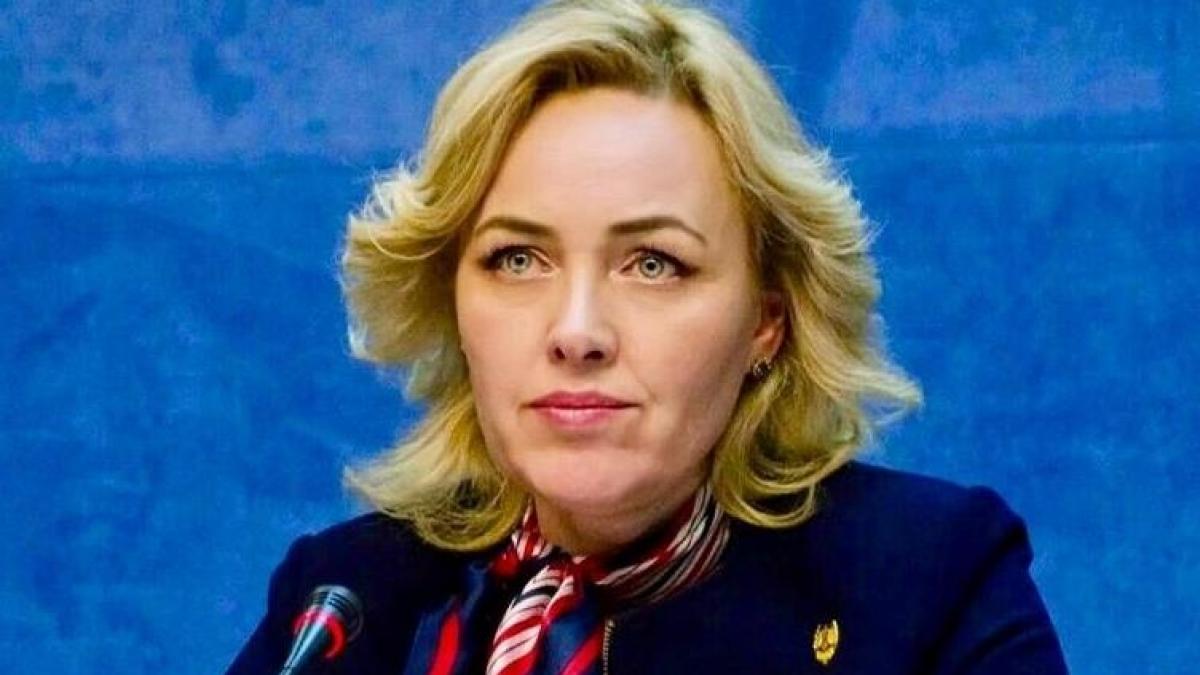 Carmen Dan, propuneri de modificare a Codului penal privind infracţiunile de ucidere şi ultraj