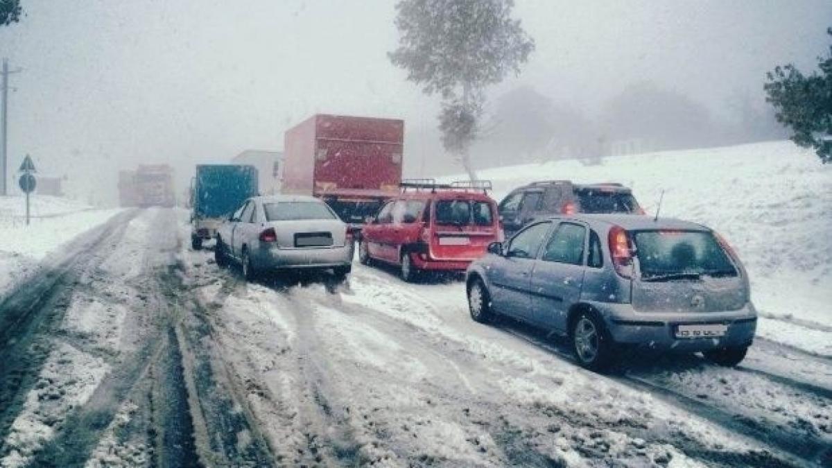 Prognoza meteo pentru următoarele trei luni. Temperaturi ridicate în februarie și martie, ploi și frig în aprilie