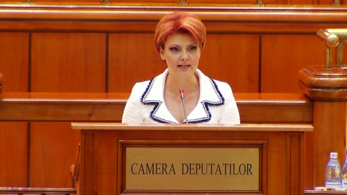 Camera Deputaţilor dezbate moţiunea simplă a PNL împotriva ministrului Muncii. Olguţa Vasilescu: „Aţi cam greşit adresantul”