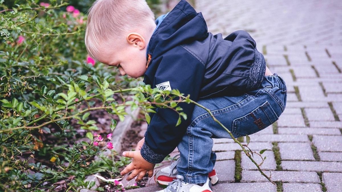 A gustat din acest fruct iar la scurt timp a murit. Mama unui băiețel de doi ani imploră toți părinții să stea departe de aliment